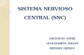 Sistema nervioso Sena