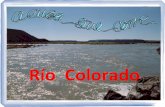 Río Colorado (Arxentina)