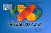 Entorno visual basic (programacion)