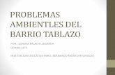 Problemas ambientles-del-barrio-tablazo%20%281%29