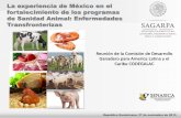 La experiencia de México en el fortalecimiento de los programas de Sanidad Animal: Enfermedades Transfronterizas