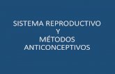 Sistema reproductivo y métodos anticonceptivos