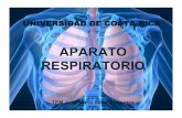 APARATO RESPIRATORIO - Instructores A.E.M. | Material · PDF file · 2010-09-07• Aparato respiratorio se desarrolla de manera tal que es capaz de funcionar de inmediato al nacer.