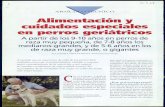 Alimentación cuidados .especiales en perros geriiítricos · PDF filecuidados .especiales en perros geriiítricos A partir de los 9-1 O años en perros de raza muy pequeña, ... el