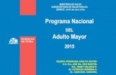 Programa Naciona Adulto Mayor - COMPUERTAcompuerta.cl/geriatriacongreso2015/presentaciones/pdf/araucania/3... · 50 camas de cuidados geriatricos agudos (potencialemnte 80 si apoyamos