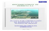 BIOCOMBUSTIBLES DE ZIERBENA S.A. - · PDF fileBIOCOMBUSTIBLES DE ZIERBENA, S.A. Planta para Producción de Biodiesel en el Puerto de Bilbao. Estudio de Impacto Ambiental Indice. Pág.