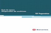 Guía de apoyo -   · PDF fileEscribe la dirección completa de BancaNet Empresarial:   En el recuadro de