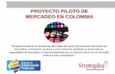 PROYECTO PILOTO DE MERCADEO EN COLOMBIA N SOCIALIZACIÓ · PDF filede mercadeo, realizándose la asignación respectiva de funciones, ... gestión de la calidad, seguridad y salud