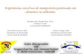 Experiencias con el uso de mampostería postensada con ... · PDF fileExperiencias con el uso de mampostería postensada con elementos no adheridos Ricardo León Bonett Díaz, Ph.D.
