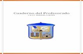 Cuaderno del Profesorado - CEIP Hernan Cortesceiphernancortes.es/sites/default/files/Documentos/CUADERNO... · implementación en las programaciones (primaria) y propuestas (infantil)