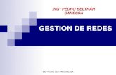GESTION DE REDES - PEDRO BELTRAN CANESSApedrobeltrancanessa-biblioteca.weebly.com/uploads/1/2/4/0/12405072/... · Gestión de Red Integrada Gestion Heterogenea