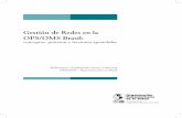 Gestión de Redes en la OPS/OMS Brasil - · PDF filela Red de Diseminación de Información sobre Igualdad, Salud y Desarrollo Humano, actuando como punto focal del Área de Gestión