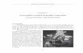 ANATOMÍA Y FISIOLOGÍA DEL CORAZÓN - · PDF file13 Anatomía y fisiología del corazón Exploración clínica de los puntos precordiales Para la exploración es indispensable conocer