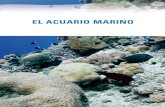 EL ACUARIO MARINO - · PDF file174 Índice el acuario marino el acuario marino 175 el ciclo biolÓgico 175 hydra, el nuevo filtro que reduce el amoniaco, los nitritos y los nitratos