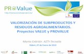 VALORIZACIÓN DE SUBPRODUCTOS Y RESIDUOS …4.interreg-sudoe.eu/contenido-dinamico/libreria-ficheros/B7A49686... · Numerosos proyectos previstos o en construcción en Castilla-León,