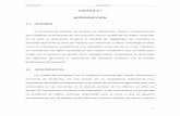 CAPÍTULO I INTRODUCCIÓN - Repositorio de la …repositorio.espe.edu.ec/bitstream/21000/1687/3/T-ESPE-027496.pdf · población urbana que se encuentra en la ciudad de Sangolquí.