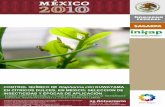 KUWAYAMA EN CÍTRICOS DULCES, EN MÉXICO: SELECCIÓN DE · PDF filepara el control de Diaphorina citri en árboles en producción ......... 12 Esquema de uso de insecticidas mediante