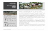Análisis de Situación - HumanitarianResponse · PDF fileAncash, La Libertad, Piura y distritos de Lima. La población afectada y damnificada por cada uno de estos departamentos es