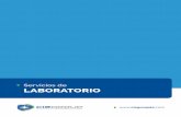 Servicios de LABORATORIO - · PDF filertn950 nera evolution/ compactlink/ interlink swichtec evolution/ 100a / 200a. 5 fabricaciÓn propia regeneraciÓn de baterÍas fabricaciÓn de
