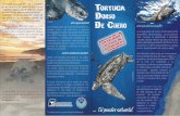Tortuga dorso de cuero - ACOREMA - Áreas Costeras y ... · PDF fileLas tortugas que sobreviven a las amenazas en el mar, retornan a sus playas de anidación en Costa Rica y México,