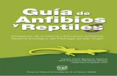 Guía de Anfibios y Reptiles - REPSA. Reserva Ecológica ... · PDF filede agua, y debido a que carece de pulmones absorbe el aire a través de su piel. Por eso habita sólo en ambientes