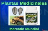 Plantas Medicinales - Exportaciones Peruanas | · PDF file• Boom de las plantas medicinales en el mercado mundial. • Preferencia de mercados por productos naturales. • Propuesta