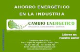 AHORRO ENERGÉTICO EN LA INDUSTRIA - · PDF file• Sustituimos por una Estufa LASIAN de 10kw (capacidad para calentar 100m) • Precio estufa Lasian 3200 € con instalación ...