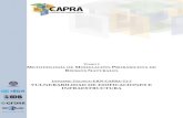 ERN-CAPRA-T1-5 - Vulnerabilidad de Edificaciones e ... · PDF fileflavio bazán especialista ... de vulnerabilidad ante las inundaciones para edificios de ... de vulnerabilidad para