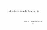 Introducción a la Anatomía - n-Anatómica-Planimetría-y-Lenguaje.pdf · PDF file•Cabeza •Cuello •Tórax •Abdomen •Pelvis y Periné ... A. La cabeza, los ojos y los dedos