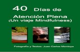 40 Días de Atención Plena - plenaccion.esplenaccion.es/.../2014/01/40-dias-Un-viaje-Mindfulness-plenacción.pdf · Como señala Jon Kabat Zinn: “la Atención Plena nos proporciona