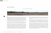 El Suelo - · PDF filesalud humana, deterioro del hábitat, degradación de sitios de recreo como los cenotes, y otros, entre los que destaca, por su importancia estratégica, el agua