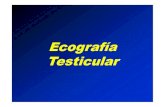 21.- Ecografia testicular [Modo de compatibilidad] · PDF fileEpididimitis aguda. Testículo normal. Epidídimo aumentado de tamaño. Pequeño hidrocele. Cubiertas testiculares engrosadas.