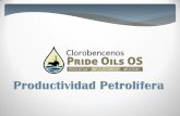 PUNTOS SUGERIDOS DE INYECCIÓN · PDF fileLa industria petrolera incluye procesos globales de exploración, extracción , refinación transporte. El petróleo crudo entrampado en el