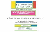 CÁNCER DE MAMA Y TRABAJO - · PDF fileESPECIALISTA EN MEDICINA DEL TRABAJO CÁNCER DE MAMA Y ... application/observatorio_cancer_de_mama_trabajo_y ... de la enfermedad es capaz de