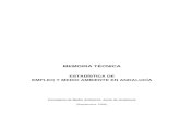 MEMORIA TÉCNICA - Junta de Andalucía · PDF fileEstadística de Empleo y Medio Ambiente en Andalucía. Memoria Técnica 5 parámetro inicial de referencia se conviene en admitir