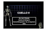 CUELLO II - dea.unsj.edu.ardea.unsj.edu.ar/biologia2/CUELLO II.pdf · • Abajo : clavícula y horquilla esternal • Adelante : borde anterior del ECM ... CONTENIDO DEL CUELLO Faringe