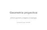 Geometría proyectiva - matem.unam.mx proyectiva1.pdf · Las imágenes de figuras semejantes son semejantes. Las proyecciones desde un punto no preservan paralelas ni mandan figuras