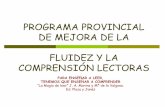 PROGRAMA PROVINCIAL DE MEJORA DE LA FLUIDEZ Y …planintercentros.pbworks.com/f/Presentacion+Programa+Provincial+de... · objetivos del lector, desarrollar sus conocimientos y posibilidades