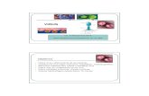 VIRUS - · PDF fileDefinir virus y diferenciarlos de las ... 300 nm como los Poxvirus; ... adenovirus, papovavirus y herpesvirus. Simetría viral helicoidal icosaédrica Simetría