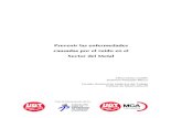 Prevenir las enfermedades causadas por el ruido en el …mcaugt.org/documentos/0/doc9901.pdf · Prevenir las enfermedades causadas por el ruido en el Sector del Metal Elena Ordaz