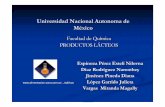 Universidad Nacional Autonoma de Méxicodepa.fquim.unam.mx/amyd/archivero/TEMA5.ADITIVOSPARALACTEOS… · mantequilla, helados y helados Riboflavina y Natural fosfato de riboflavina