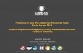 Presentación de PowerPoint - Bienvenidomesaredondachile.com/pdf/2014/presentations/27-Codelco-Salvador... · En la actualidad, Fundición de Potrerillos de División Salvador, Codelco