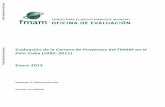 Evaluación de la Cartera de Proyectos del FMAM en el País ... · PDF fileEn el presente acápite se incluye información complementaria a la expuesta en el capítulo 4 del volumen