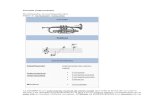 Corneta (instrumento) Corneta Tesituradocshare01.docshare.tips/files/15847/158476986.pdf · practicar con la corneta de su hermano y consiguió un puesto como cornetista en la ...