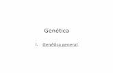 Genética -   · PDF file• En la mujer (XX), uno de los dos cromosomas X se inactiva (presenta una mancha llamado corpúsculo de Barr), por lo que su
