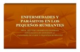 ENFERMEDADES Y PARÁSITOS EN LOS PEQUEÑOR …academic.uprm.edu/rodriguezh/HTMLobj-110/CONFEREN... · caprinos y ovinos de puerto rico