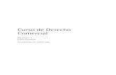 Curso de Derecho Comercial - static · PDF fileCurso de derecho comercial / Isaac Halperin y Guillermo Cabanellas. - 2a ed. - Buenos Aires : Abeledo Perrot, 2012. 624 p. ; 24x16 cm.