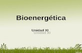 Bioenergéticaecaths1.s3.amazonaws.com/.../308822345.Bioenergetica2015.pdf · G: energia libre cantidad máxima de energía química potencialmente disponible para hacer un trabajo