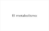 El metabolismo - · PDF file• Anabolismo heterótrofo.- Síntesis de moléculas orgánicas complejas a partir de otras más sencillas. Todas las células pueden llevarlo a cabo (también