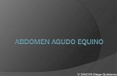 V. DACVS Diego Quinteros - vet. · PDF fileGrado y cambios del dolor ... Abdomen Agudo equino Author: Diego Created Date: 4/22/2014 1:03:56 AM